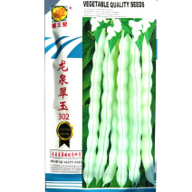 芸豆种子龙泉翠玉302早熟无筋豆九粒白芸豆种压塌架