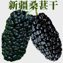 黑桑葚干新疆吐鲁番大颗无沙免洗泡茶料头茬无碎干果包邮批发