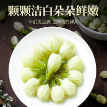 正宗横县茉莉花茶广西茉莉花蕾干花清香型夏天喝的东西无硫养