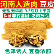 [荐]豆制品河南人造肉素鸡翅纯豆丝纯豆皮素牛排纯豆皮