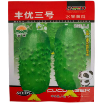 水果黄瓜种子丰优三号东北旱黄瓜种子秋播早熟刺皮薄小黄瓜