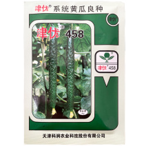 黄瓜种子津优458露地20g春夏秋季绿皮绿肉绿心密刺短把