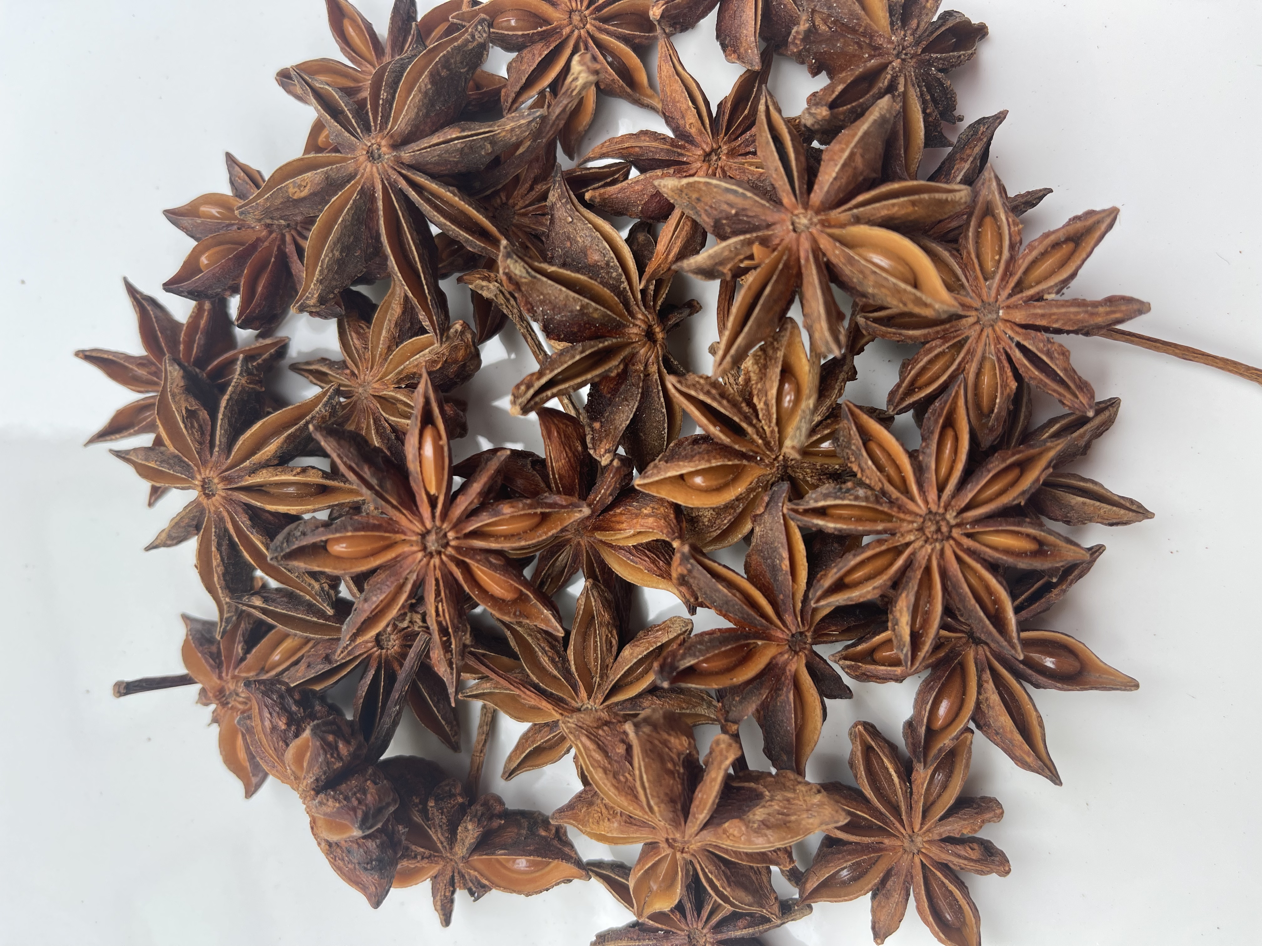 八角与其他香料对比图