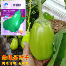 绿长罐茄圆茄种子水果茄子种籽早熟肉厚高产基地种植
