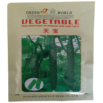 耕耘天宝黄瓜种子露地抗病抗热抗湿青皮青肉青瓜种子