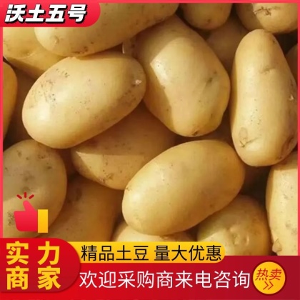 热门地区沃土5号行情