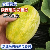 陕西甜瓜花蕾瓜花姑娘甜瓜大量供应全国发货