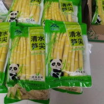 云南清水竹笋产地一手货源质量保证欢迎来电咨询