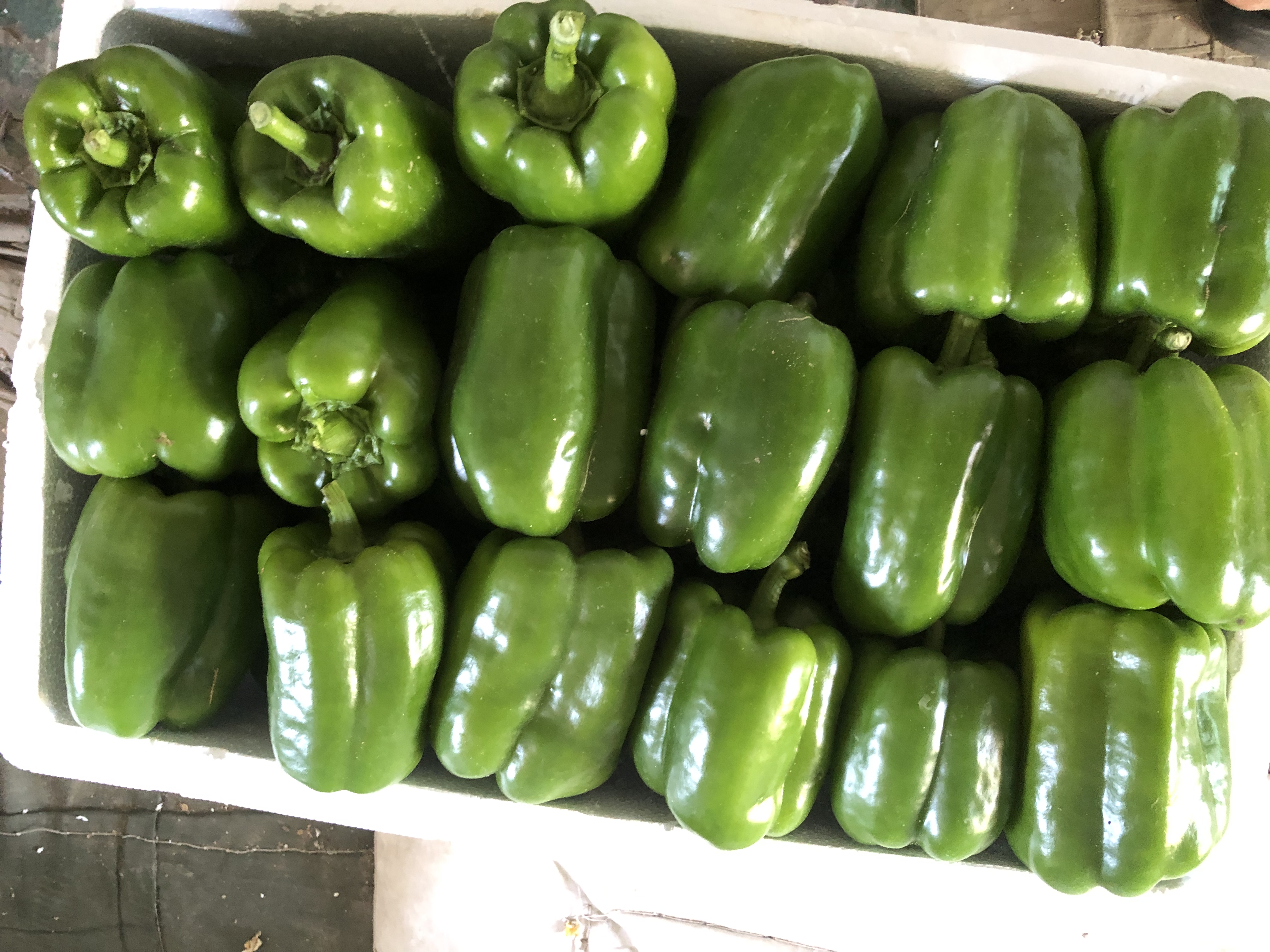 信息图表式摄影:白底上并列摆放四组食材组合,每组含1份红圆椒片(约50g):①配豆腐丁+芝麻油(补钙+维C促铁吸收);②配牛油果+柠檬汁(健康脂肪+维C协同抗氧化);③配鸡胸肉丝+蒜末快炒(优质蛋白+维C防贫血);④单独作为餐前生食(最大化维C摄入);所有食材新鲜洁净,光影柔和 圆椒营养搭配示意图