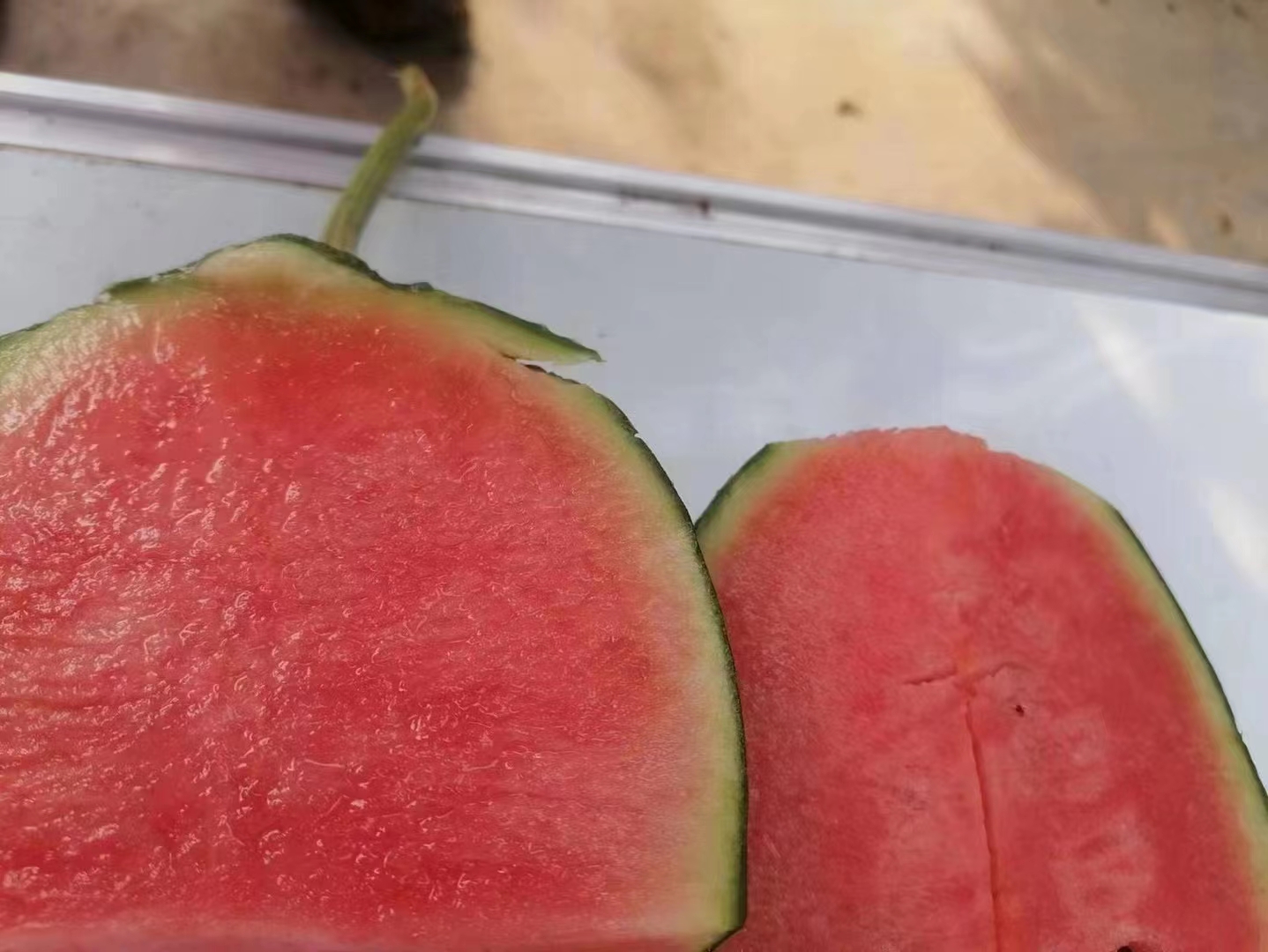 展示一个普通西瓜和一个巨型西瓜切开后的内部结构对比 西瓜切开对比图