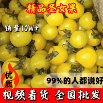 山东千禧圣女果支持社区团购商超品质全国供应欢迎看货选购