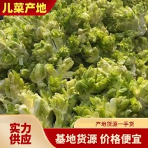 儿菜大量上市，正宗味道好，欢迎进店当天发货