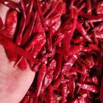 天宇辣椒王