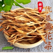 【黄花菜】大荔黄花菜大量供应适合餐饮欢迎下单