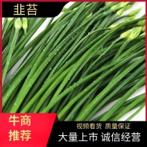 精品韭苔优质韭菜花现诚信代收货源充足量大从优品质保证