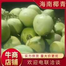 海南椰青椰青带皮椰子陵水椰子产地直发量大从优