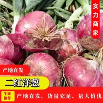 通许县万亩洋葱大量上市，现挖现发全国接单有场地有小工