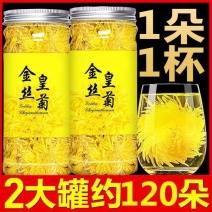 金丝皇菊枸杞茶菊花茶一朵一杯大朵黄菊花胎菊贡菊
