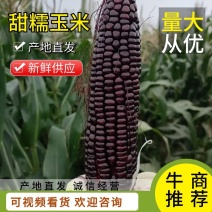 【优选】山东优质甜糯黑玉米，基地直供全国发货，欢迎咨询洽谈