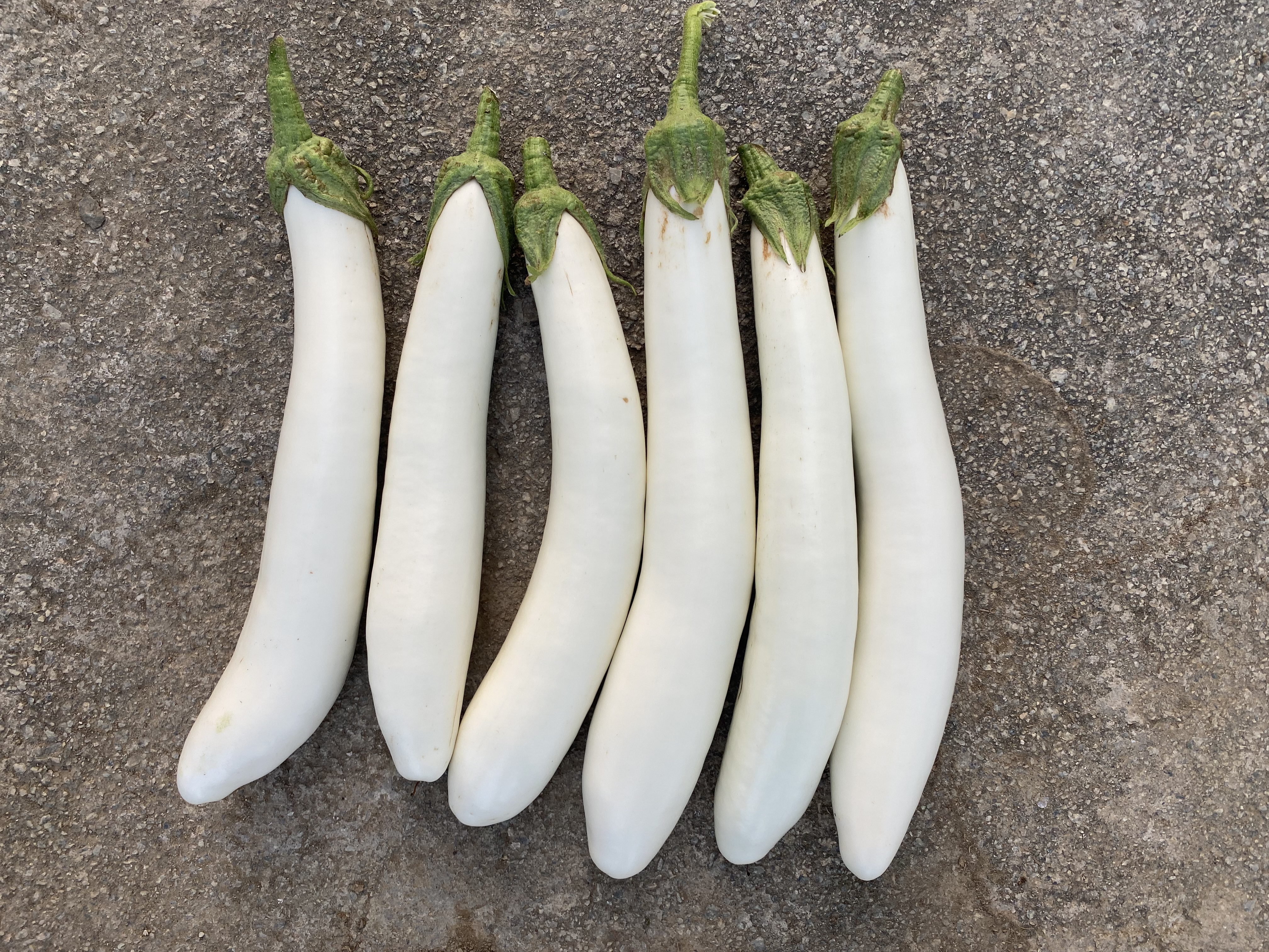 市场销售场景图