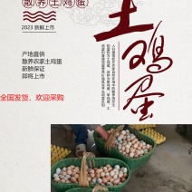 林下散养，正宗散养土鸡蛋，没有添加，无抗养殖，质量保证！