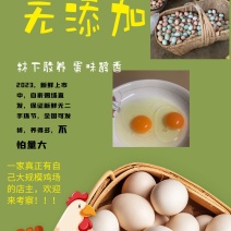自家林下养殖的土鸡蛋，蛋黄粉，***！111