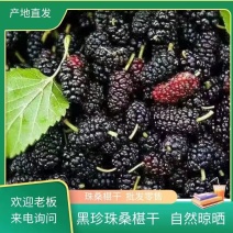 （推荐）河北黑珍珠桑椹干大量上市！口感好品质佳欢迎选购