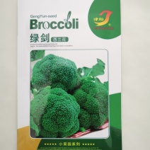 基地西兰花种子花菜种子花椰菜种籽高产耐热抗寒春西兰花种子