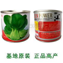 夏季专用上海青种子青梗菜种籽耐抽苔小油菜鸡毛菜种子