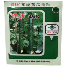 黄瓜种子津优458黄瓜种子刺瓜青瓜科润农业春夏秋季油亮型
