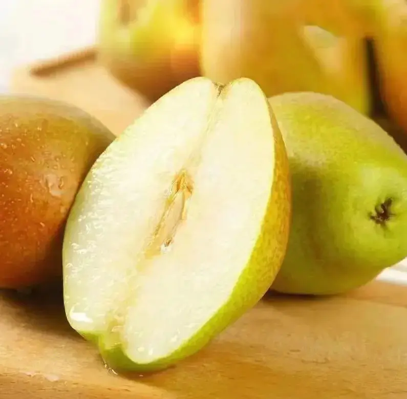 砀山酥梨切面展示果肉质地