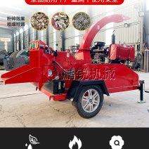 木材树枝粉碎机废旧树木破碎机园林灌木粉碎设备