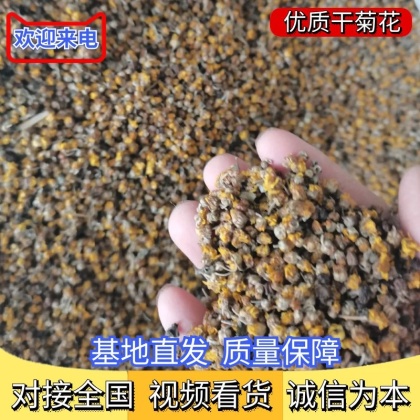 菊花茶价格行情