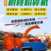 移动树枝粉碎机新型园林粗树枝粉碎设备树杆破碎机