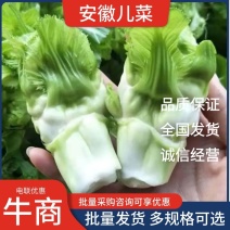 儿菜菜头安徽产地现发货源充足质量好量大从优电联采购