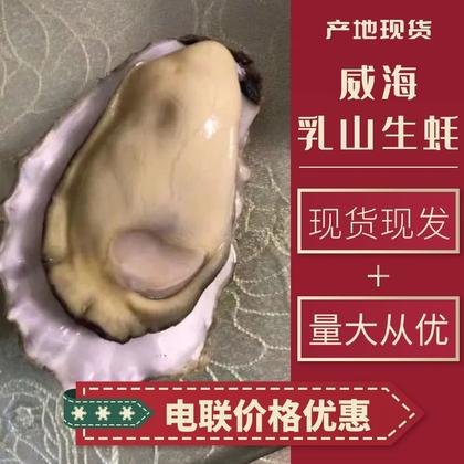 斗门区乳山生蚝价格行情走势 