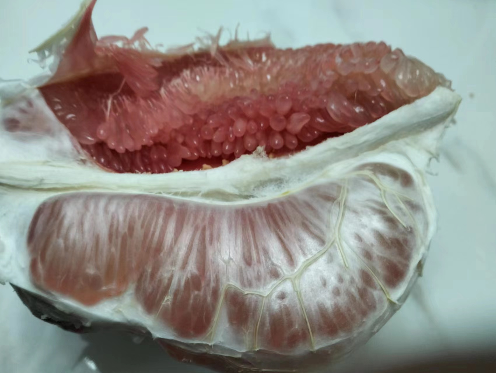 一个完整的红心柚被横向切开,呈现出放射状排列的深粉红色果粒,果肉饱满多汁,表面有晶莹水珠,背景虚化,突出果实内部色彩鲜艳、结构清晰 红心柚切面特写