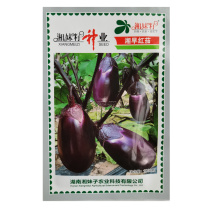 湘妹子湘早红茄子种籽早熟抗病高产三月茄圆茄子种子荷包茄子
