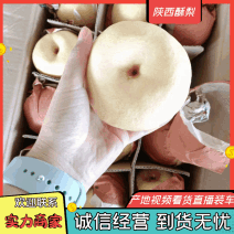 （牛）陕西酥梨酥脆可口肉多汁甜诚信为本合作共赢