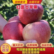 【精品红富士】大凉山糖心丑苹果代办服务产地直供一件代发