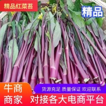 湖北红菜苔，白菜苔，红菜心，粗红菜苔质量非常不错！
