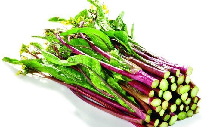 红菜苔不同部位对比图