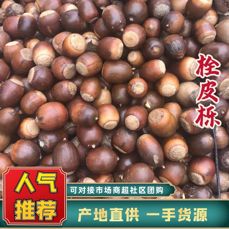 [橡子批发]河南南阳淅川县橡子 1.30元/斤河南橡子仁 橡子 _ 一亩田