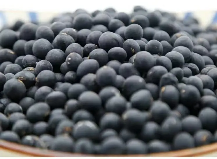 展示一碗完整的干黑豆,颗粒饱满清晰可见 黑豆实物图