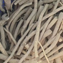 【推荐】河南精品辣根，产地一手货源，品质保证，欢迎选购