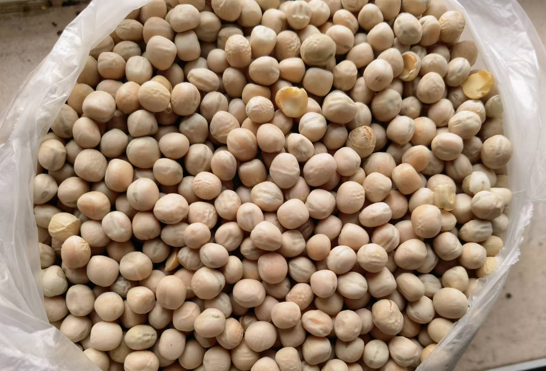 干豌豆的营养成分表