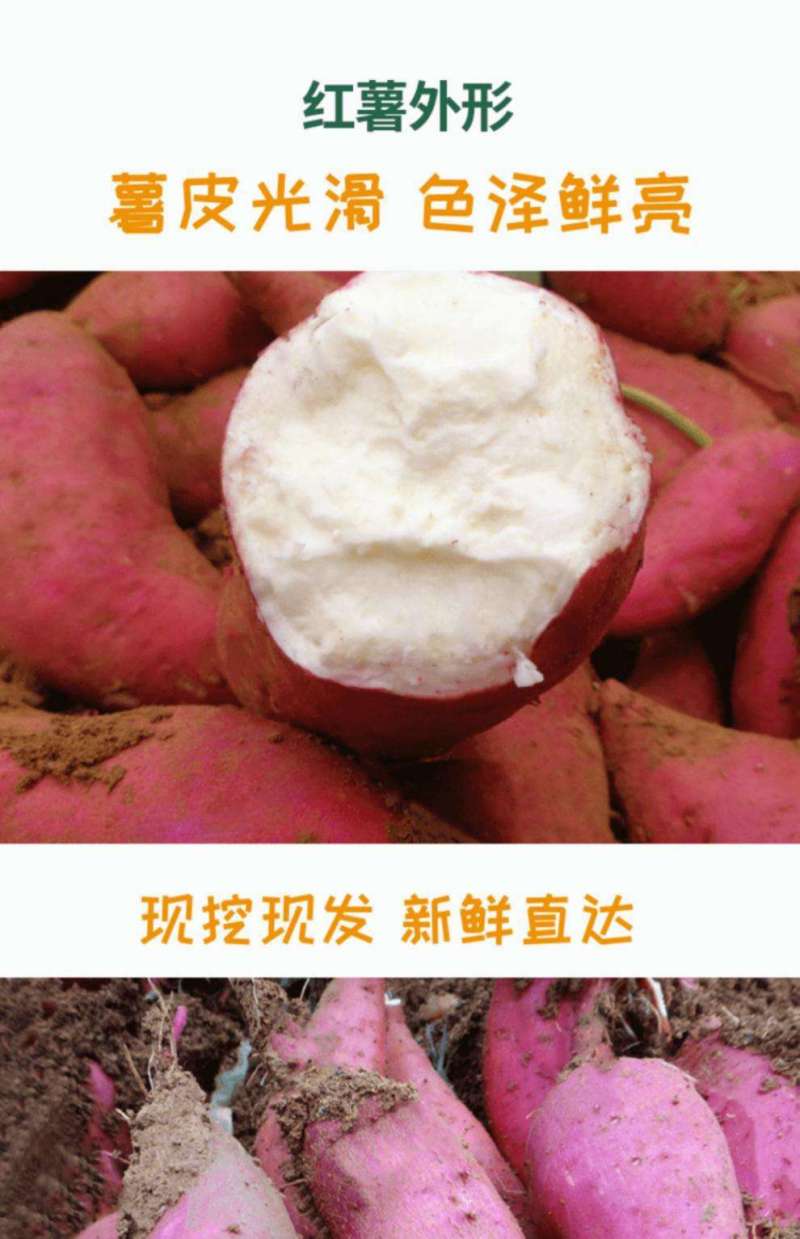 哈密红薯哈密红薯冰糖心河南直发全国市场来电优惠