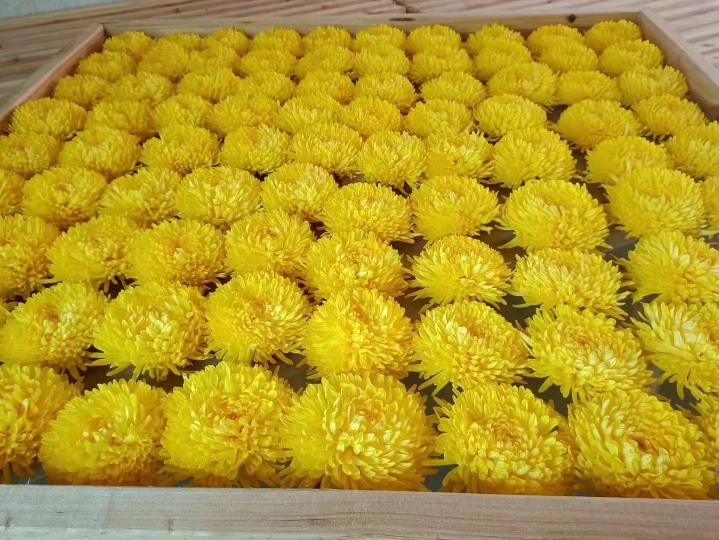 陈皮金丝皇菊泡水图