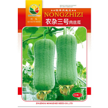 肉丝瓜种子短棒皱皮耐热中熟农杂三号春夏大田种植