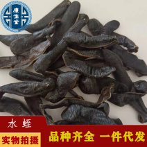 水蛭清水吊干水蛭干度好无盐无矾一手货源专注品质